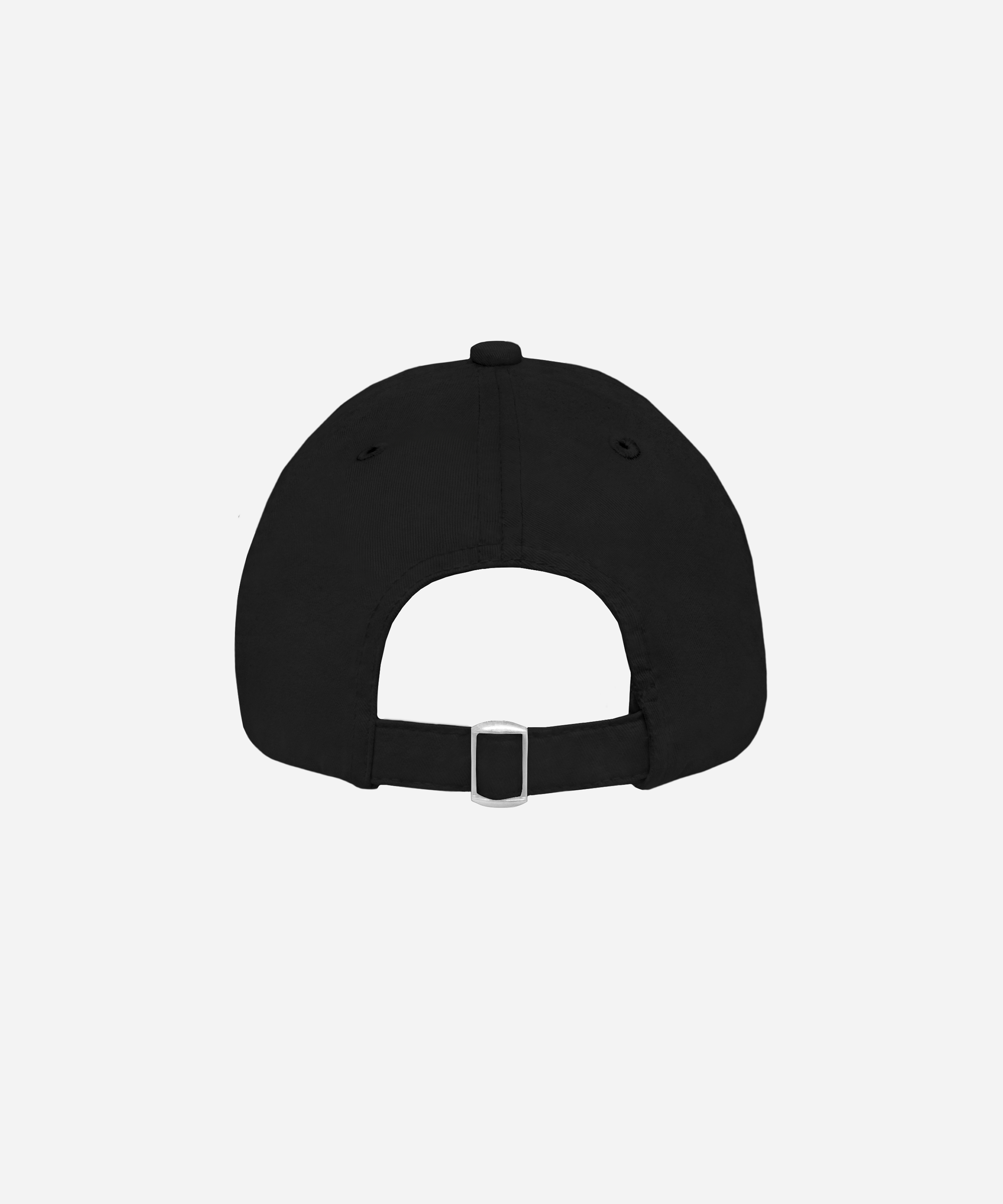 Cap_Back.png